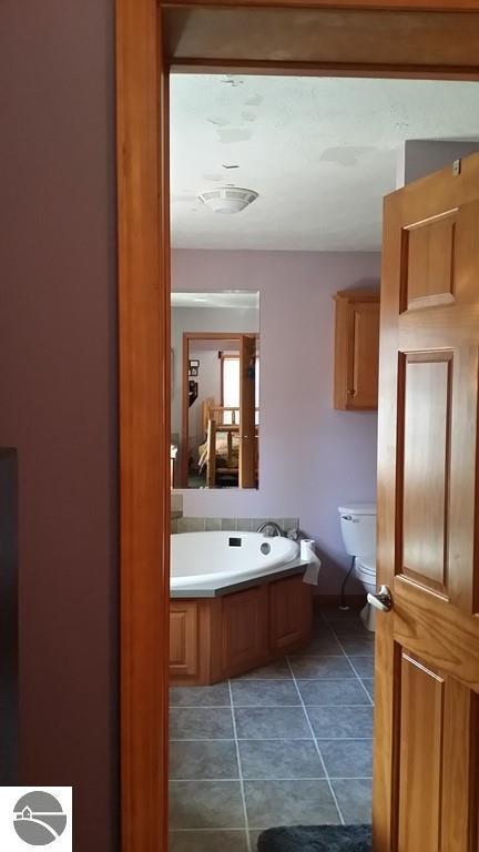 424 SE County Line Rd, Sumner, MI 48889 photo 12