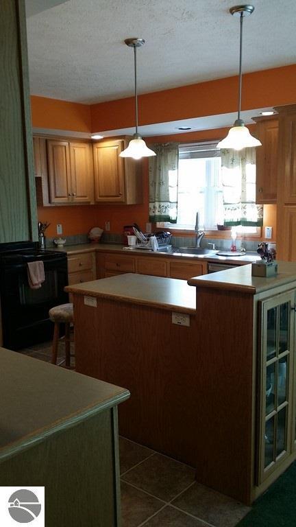 424 SE County Line Rd, Sumner, MI 48889 photo 5
