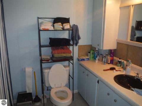 410 N Third St, Shepherd, MI 48883 photo 30
