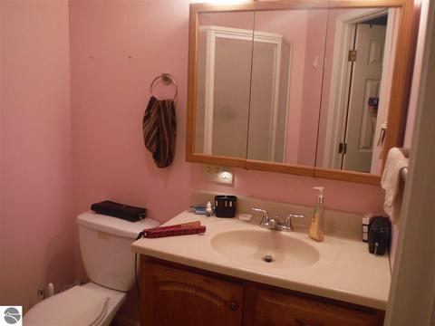 410 N Third St, Shepherd, MI 48883 photo 17