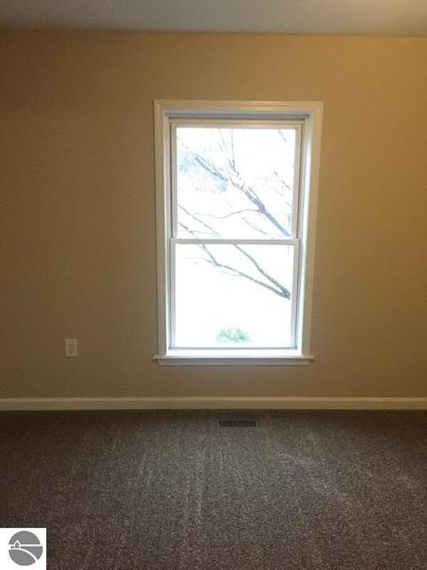 732 E Tyler Rd, Alma, MI 48801 photo 15