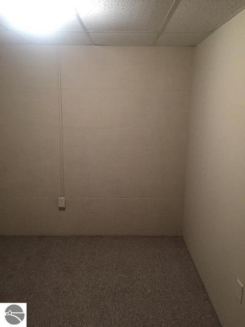 732 E Tyler Rd, Alma, MI 48801 photo 19