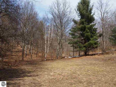 10550 Hooker Rd, Honor, MI 49640 photo 35