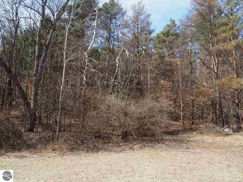 10550 Hooker Rd, Honor, MI 49640 photo 30