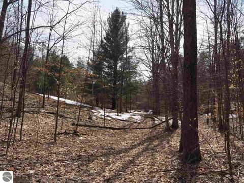 10550 Hooker Rd, Honor, MI 49640 photo 42