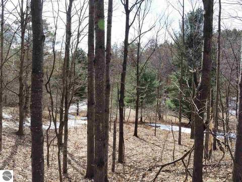 10550 Hooker Rd, Honor, MI 49640 photo 43