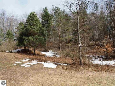 10550 Hooker Rd, Honor, MI 49640 photo 36
