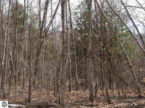 10550 Hooker Rd, Honor, MI 49640 photo 25