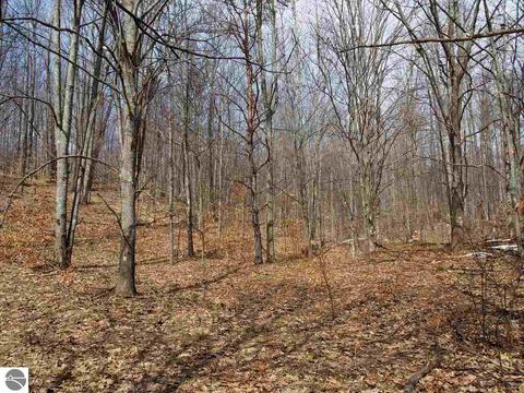 10550 Hooker Rd, Honor, MI 49640 photo 37