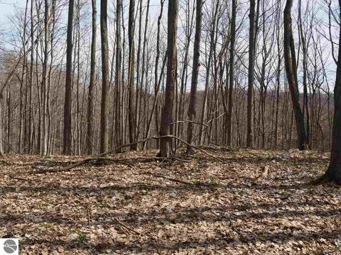10550 Hooker Rd, Honor, MI 49640 photo 45