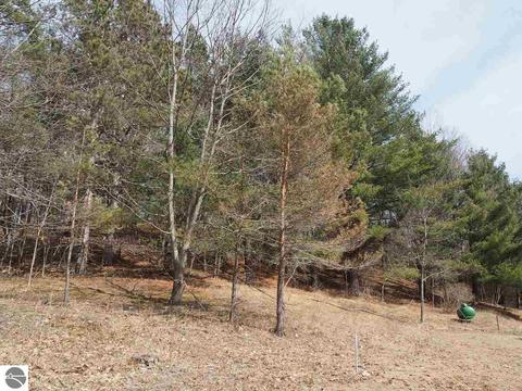 10550 Hooker Rd, Honor, MI 49640 photo 32