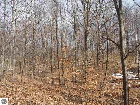 10550 Hooker Rd, Honor, MI 49640 photo 38