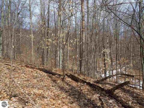 10550 Hooker Rd, Honor, MI 49640 photo 39