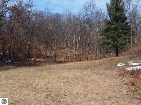 10550 Hooker Rd, Honor, MI 49640 photo 34
