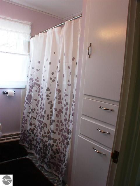 519 E Newark St, Ithaca, MI 48847 photo 8