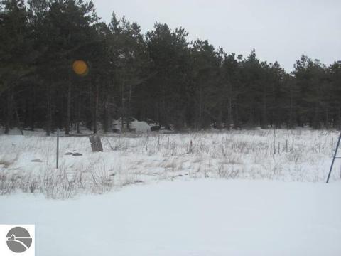 130 Townline Rd, Pellston, MI 49769 photo 17