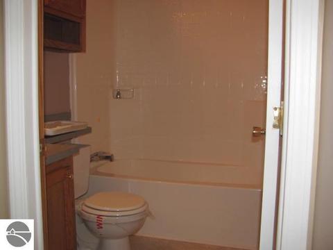 130 Townline Rd, Pellston, MI 49769 photo 9