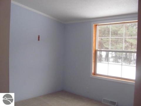 130 Townline Rd, Pellston, MI 49769 photo 11