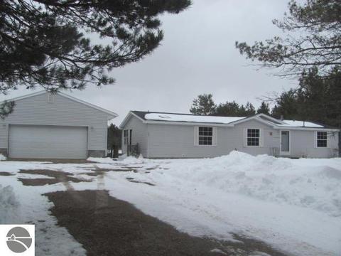 130 Townline Rd, Pellston, MI 49769 photo 1