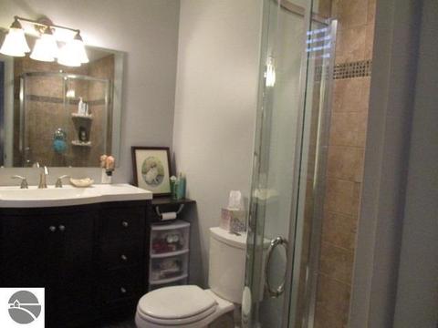 220 Pineview Dr, Alma, MI 48801 photo 13