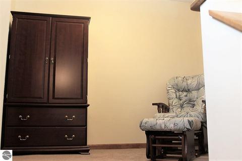 3831 E White Rd, Cedar, MI 49621 photo 23
