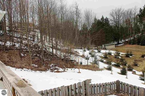 3831 E White Rd, Cedar, MI 49621 photo 28