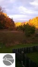 3831 E White Rd, Cedar, MI 49621 photo 47