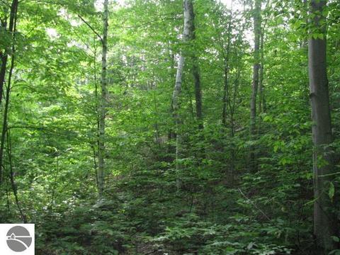 4428 Deckerville Rd, Lupton, MI 48635 photo 53