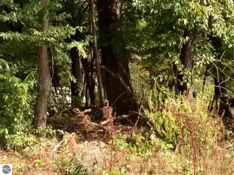 N/a Point Augres Road, Au Gres, MI 48703 photo 3