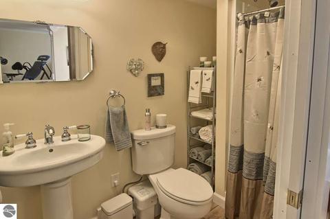 3061 E Whitman St, Cedar, MI 49621 photo 28
