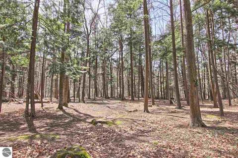 3101 Bancroft Rd, Honor, MI 49640 photo 31