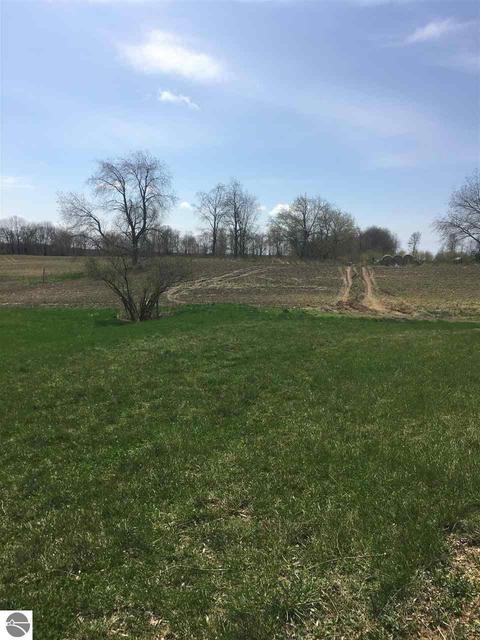 9134 S Vandecar Rd, Shepherd, MI 48883 photo 13