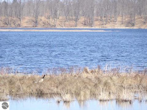 4595 State Rd, Hale, MI 48739 photo 14