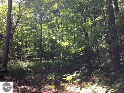 5251 E 16th St, Au Gres, MI 48703 photo 8