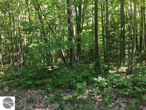 5251 E 16th St, Au Gres, MI 48703 photo 7