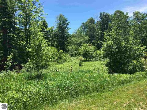 2181 S 17 Rd, Harrietta, MI 49638 photo 29