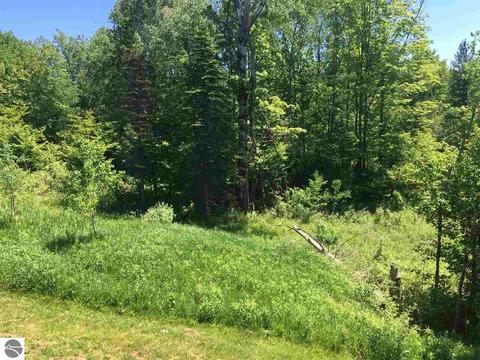 2181 S 17 Rd, Harrietta, MI 49638 photo 18