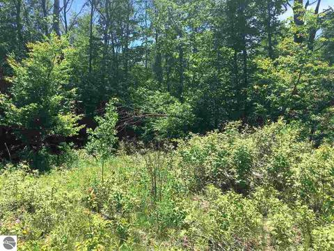 2181 S 17 Rd, Harrietta, MI 49638 photo 27
