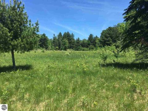 2181 S 17 Rd, Harrietta, MI 49638 photo 31
