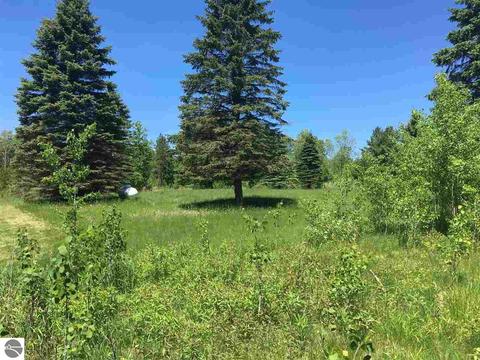 2181 S 17 Rd, Harrietta, MI 49638 photo 28