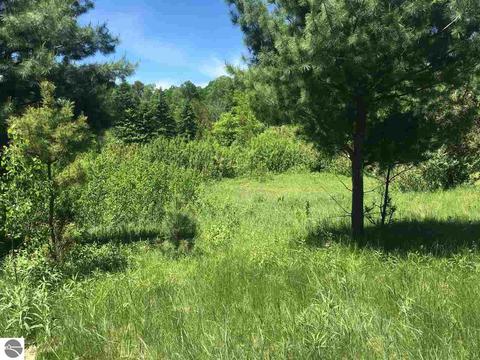 2181 S 17 Rd, Harrietta, MI 49638 photo 32