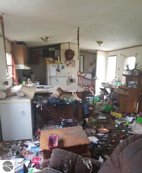 8791 E Baseline Rd, Mount Pleasant, MI 48858 photo 4