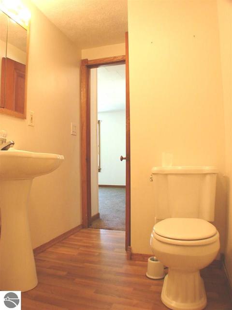 214 Union St, Ithaca, MI 48847 photo 22