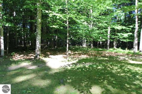 860 Ellinger Rd, Alanson, MI 49706 photo 26