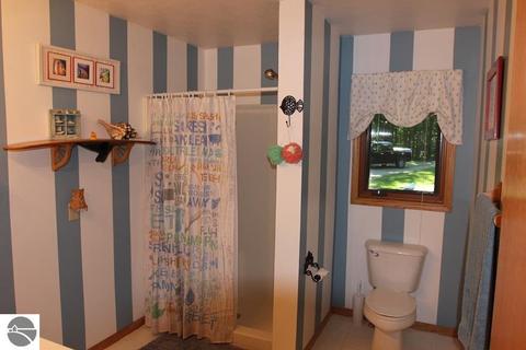 860 Ellinger Rd, Alanson, MI 49706 photo 18