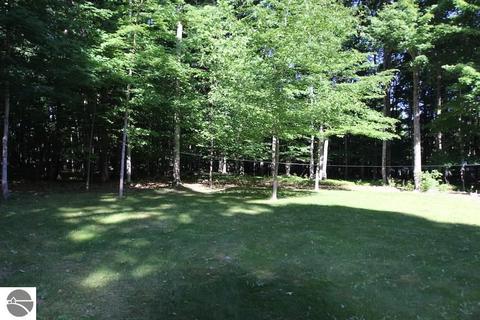 860 Ellinger Rd, Alanson, MI 49706 photo 24