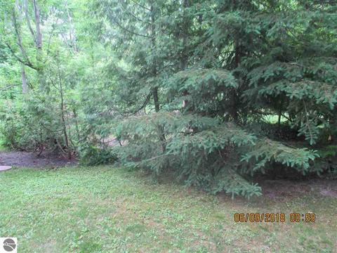 839 Shady Ln, Au Gres, MI 48703 photo 22