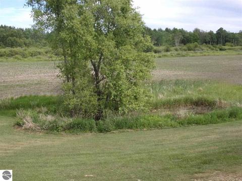 4424 E Rose City Rd, Lupton, MI 48635 photo 43