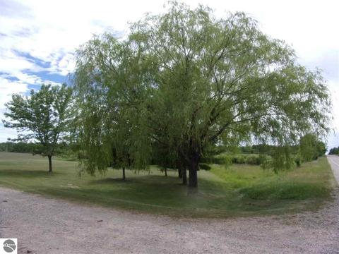 4424 E Rose City Rd, Lupton, MI 48635 photo 38