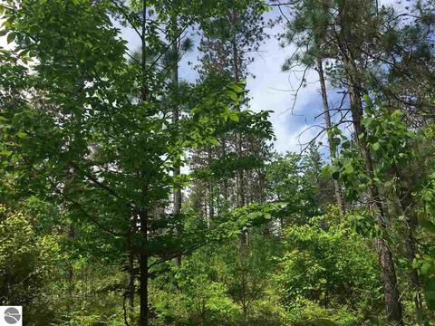 1729 N Fire Rd, Twining, MI 48766 photo 5